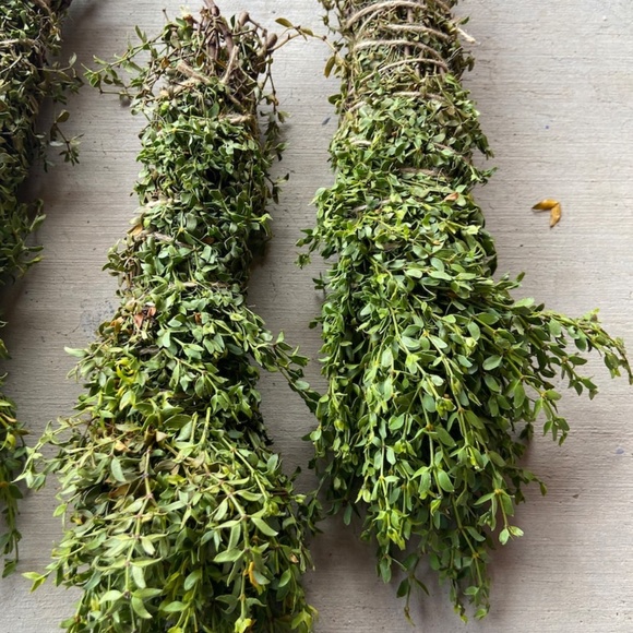 Fresh Chaparral (Creosote) Bundle, wildcrafted fresh creosote desert rain - Picture 4 of 4